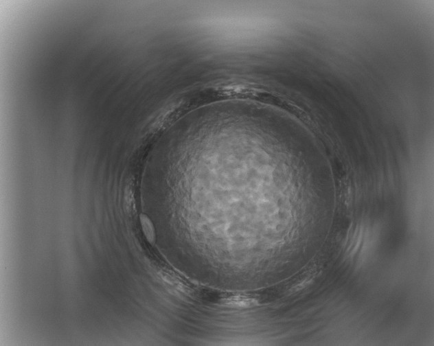 X0000068280754200604281617