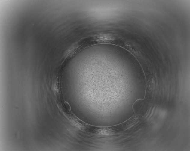 X0000068280755200604281617