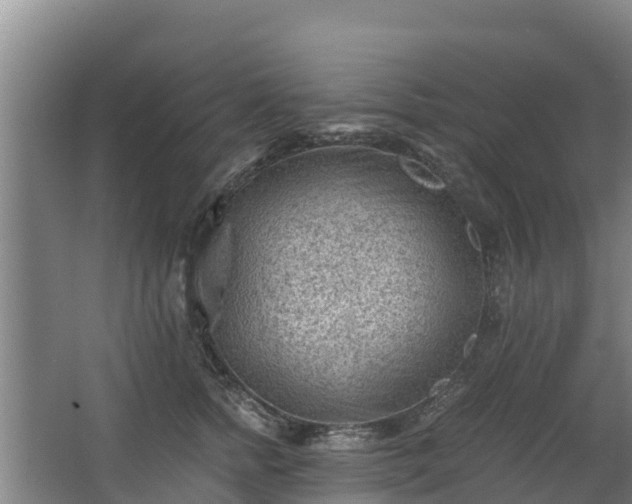 X0000068280758200604281617