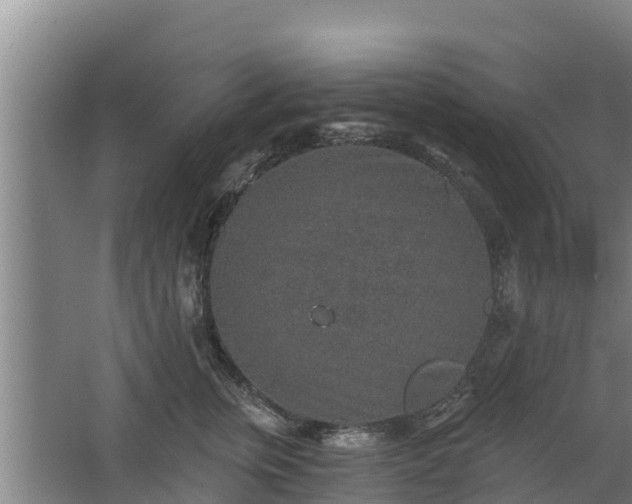 X0000068280759200604281617