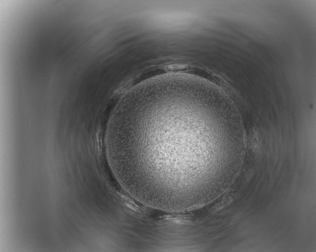 X0000068280763200604281617