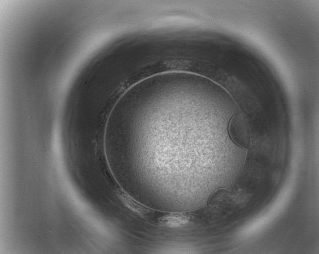 X0000068280765200604281617