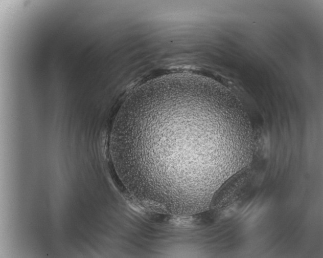 X0000068280767200604281617