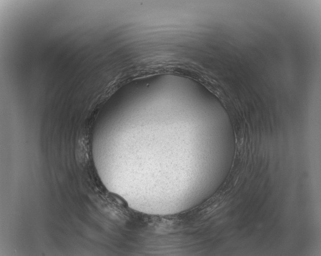 X0000068280772200604281617