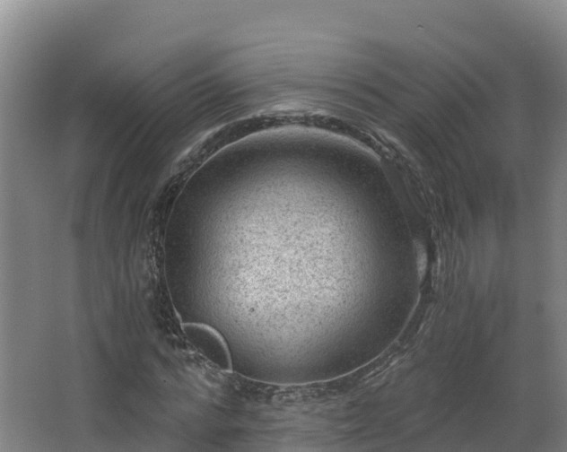 X0000068280776200604281616