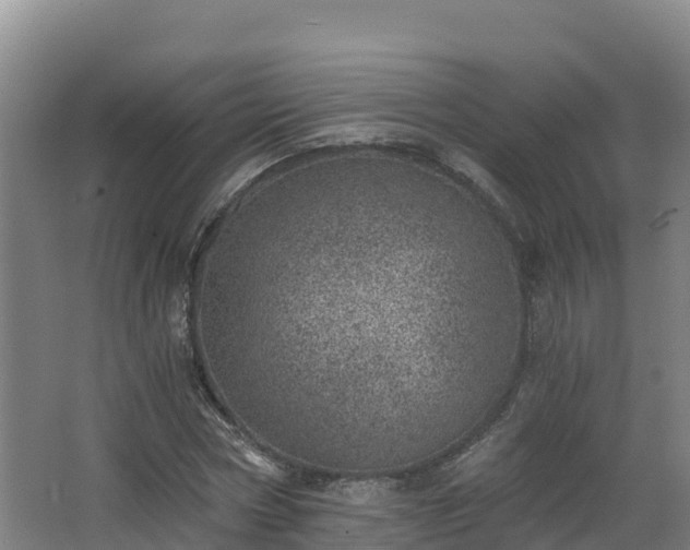 X0000068280778200604281616