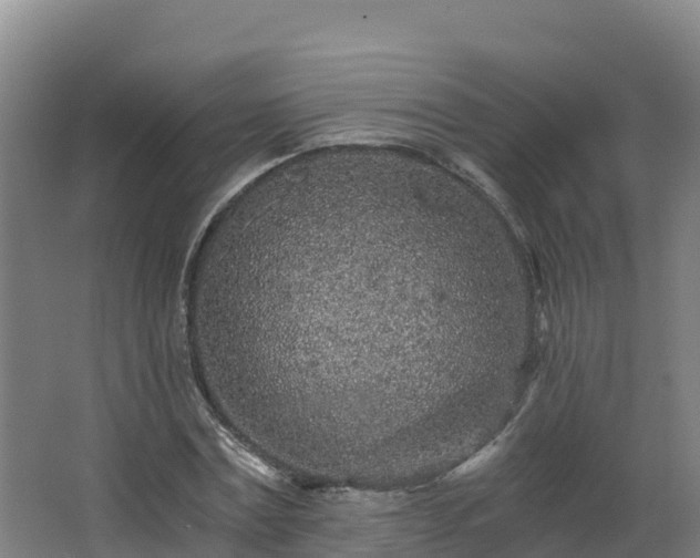 X0000068280779200604281616