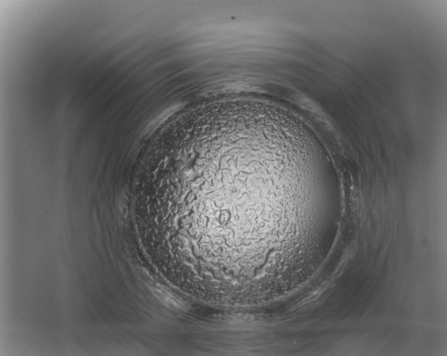 X0000068280785200604281616