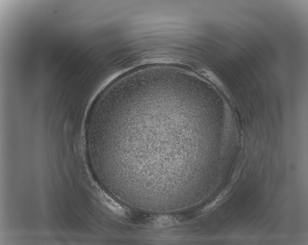 X0000068280787200604281616