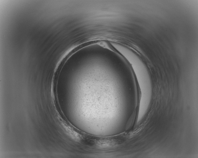 X0000068280788200604281616