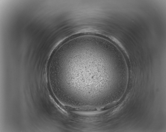 X0000068280791200604281616