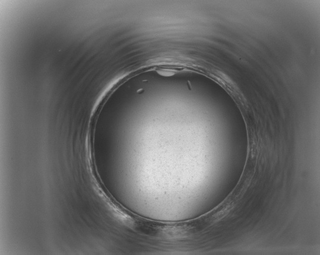 X0000068280796200604281616