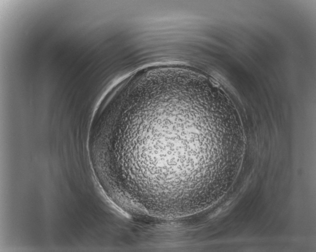 X0000068280797200604281616