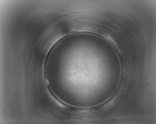 X0000068280798200604281616