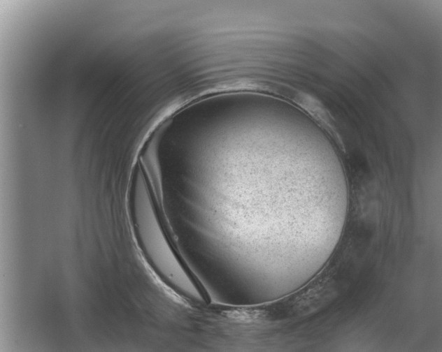 X0000068280805200604281616