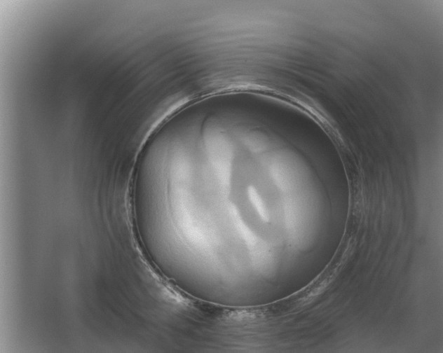 X0000068280806200604281616