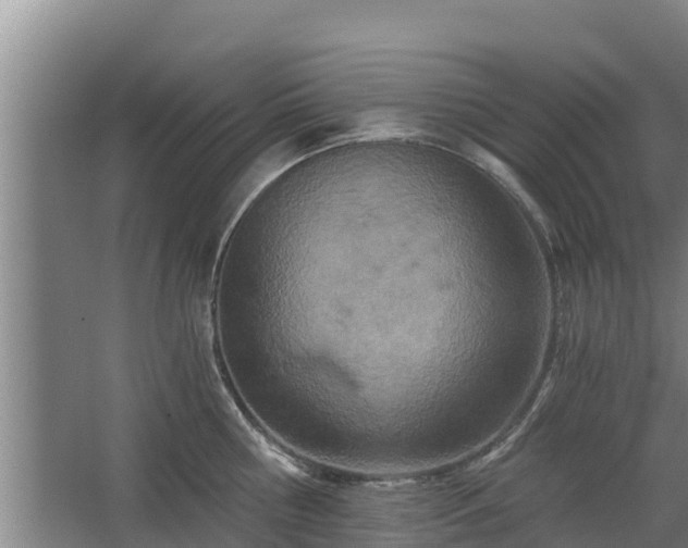 X0000068280810200604281616