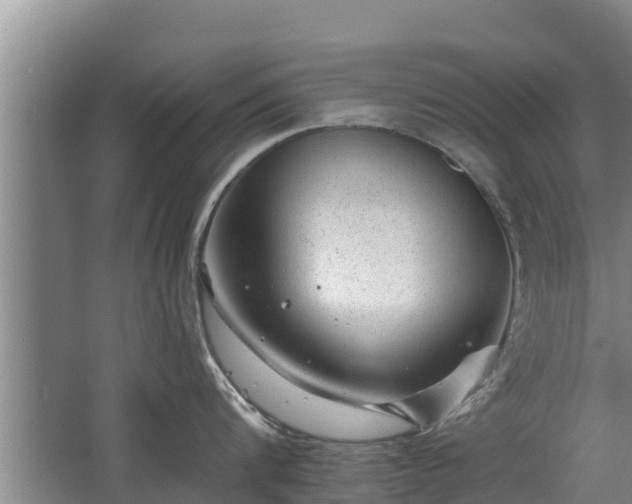 X0000068280816200604281616