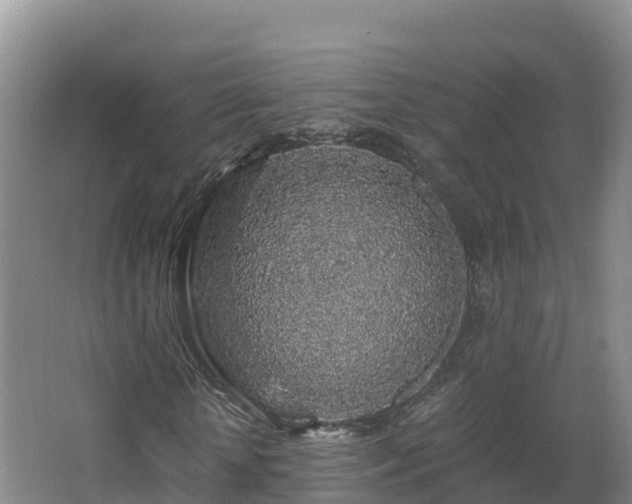 X0000068280818200604281615