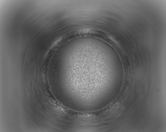 X0000068280823200604281615