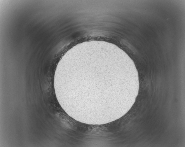 X0000068280824200604281615