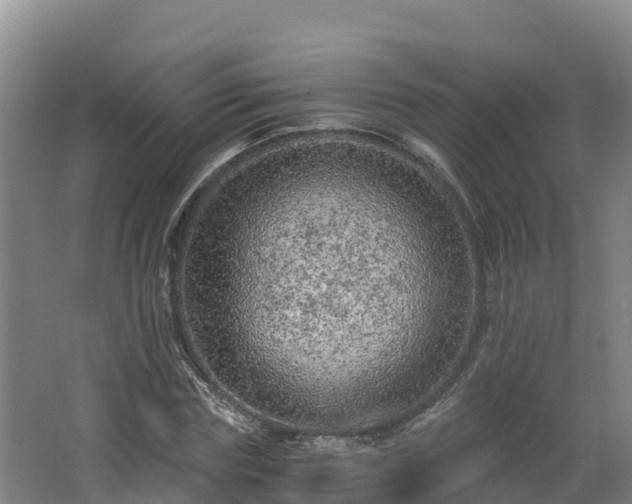 X0000068280827200604281615