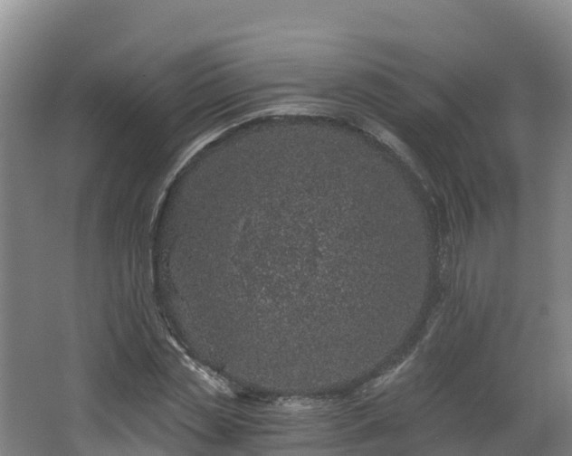 X0000068280829200604281615