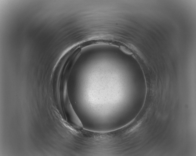 X0000068280830200604281615