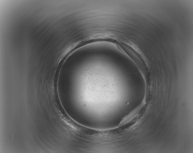 X0000068280834200604281615