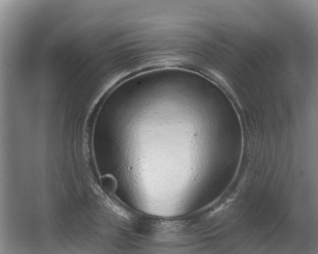 X0000068280835200604281615