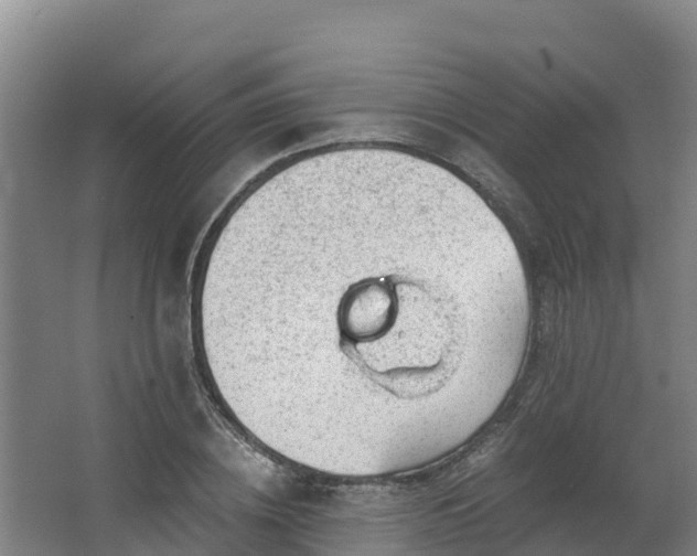 X0000068280836200604281615