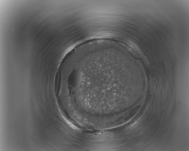 X0000068280842200604281615