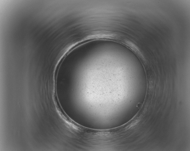 X0000068280844200604281615