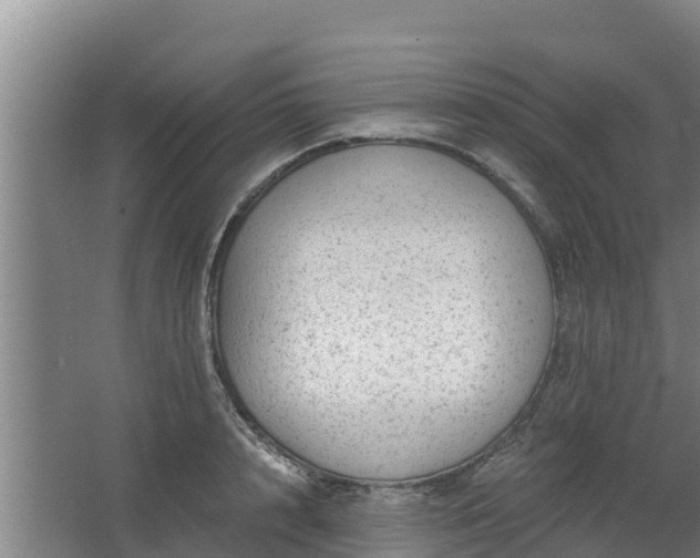 X0000068280848200604281615