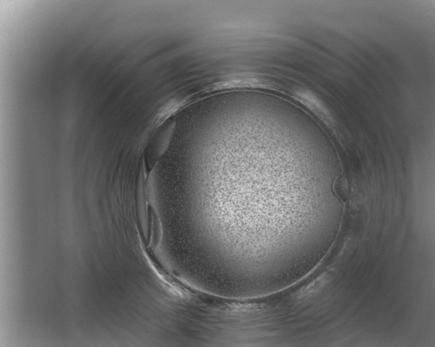 X0000068280849200604281615