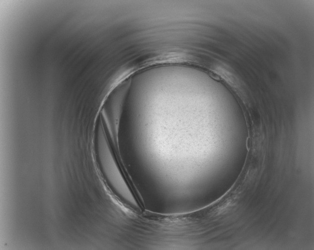 X0000068280850200604281616