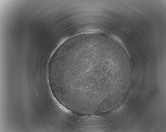 X0000068280851200604281616