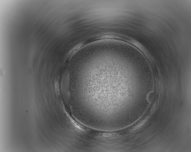 X0000068280857200604281616