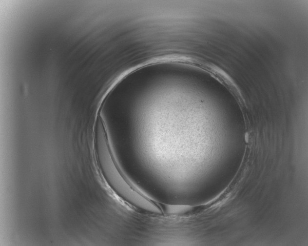 X0000068280860200604281616