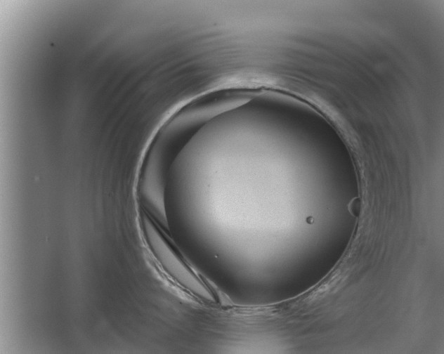 X0000068280864200604281616