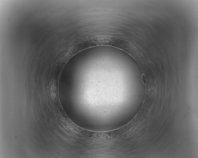 X0000068280866200604281615