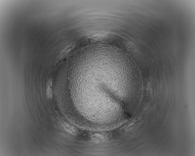 X0000068280868200604281615