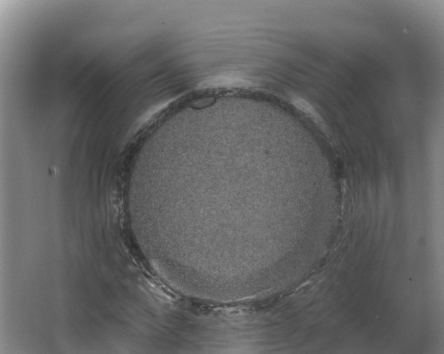 X0000068280872200604281615