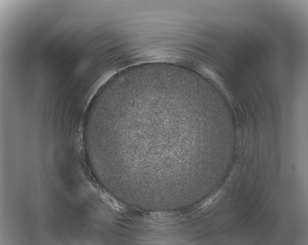 X0000068280875200604281615