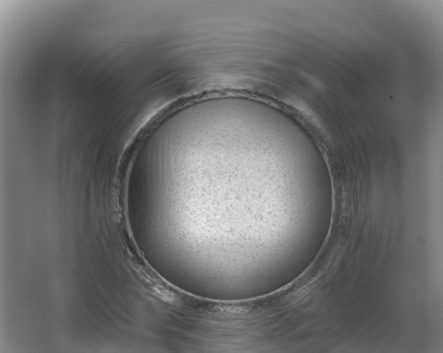 X0000068280878200604281615