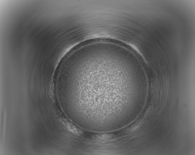 X0000068280879200604281615