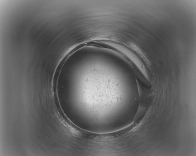 X0000068280884200604281615