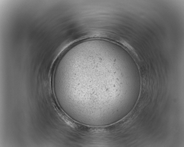 X0000068280886200604281615