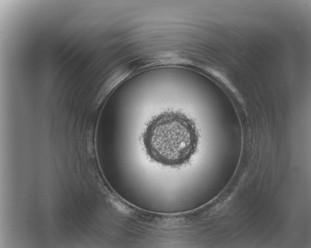 X0000068280889200604281615