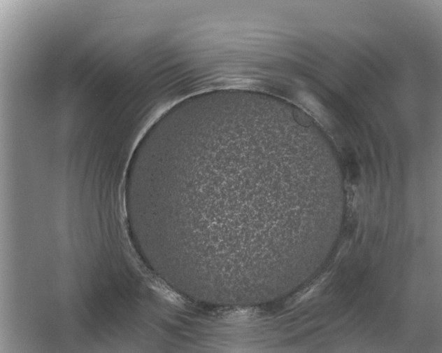 X0000068280891200604281614